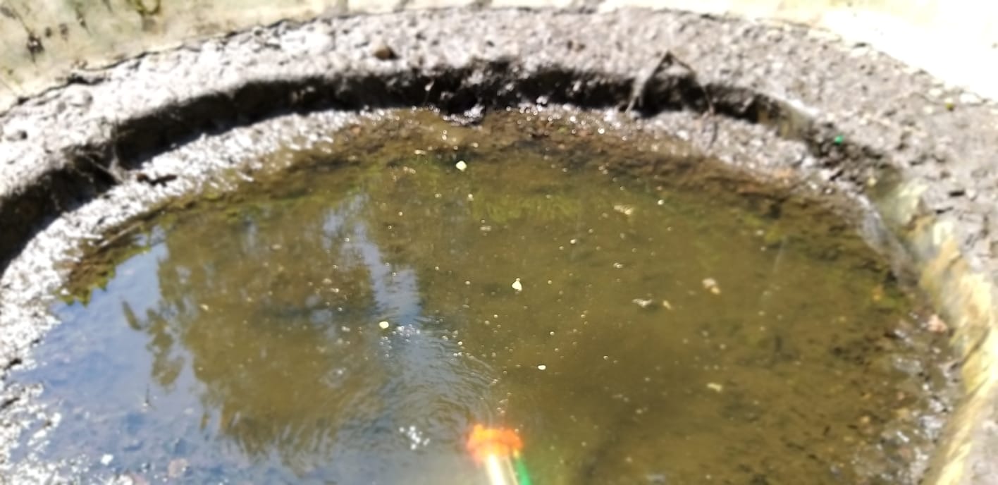 Очистка пруда, обслуживание, чистка воды пруда в Москве
